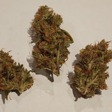 Divine seeds black opium auto #aero