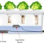 Aeroponic #2 !