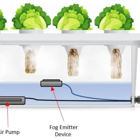 Aeroponic #2 !