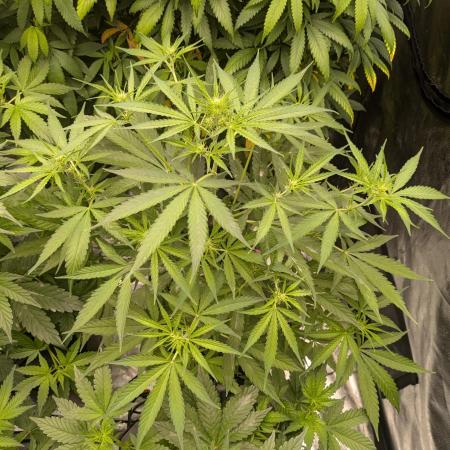 First time hydro !