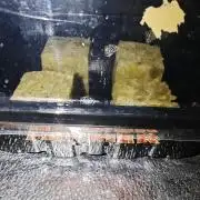 Hydro Auto FF Sativa