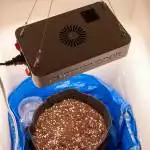 First grow