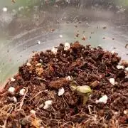 Проверка на прочность