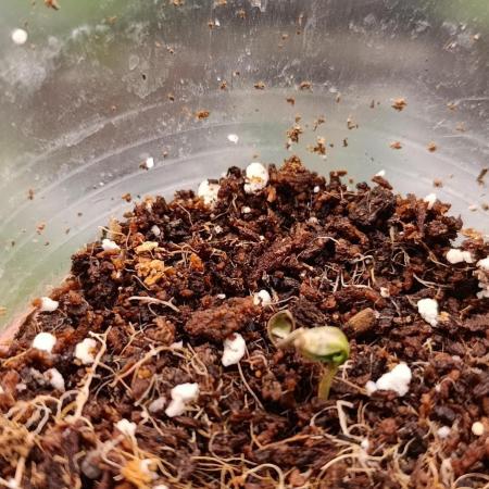 Проверка на прочность