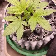 Проверка на прочность