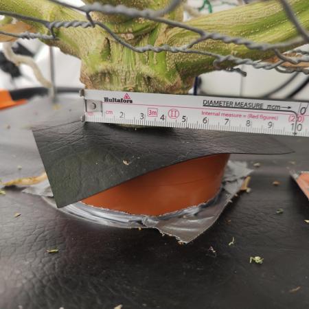 Pink Gelato in Jacuzzi