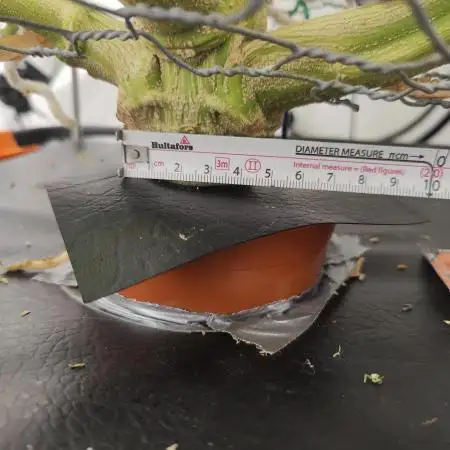 Pink Gelato in Jacuzzi