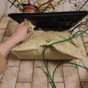 Zoap Rosé in swimming school