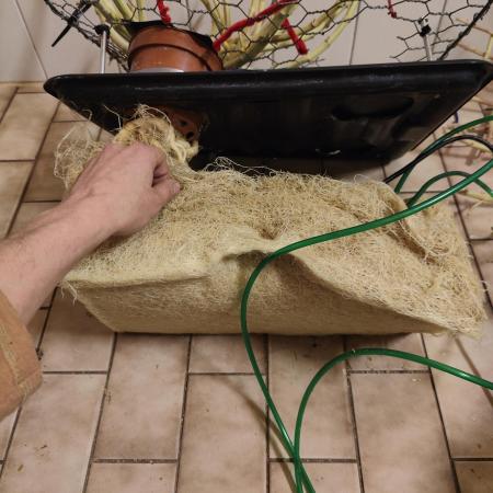 Zoap Rosé in swimming school