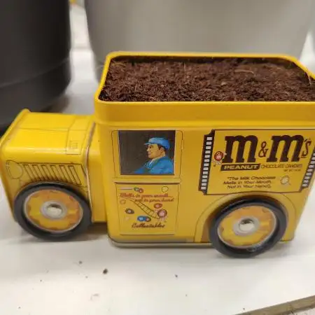 Auto in Auto and other small grows