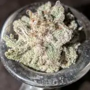 Purest Indica