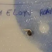 Melon Parmesan