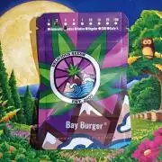 Bay Burguer Contest