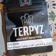 Ice Zone