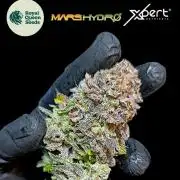 Isla Mirage Xpertnutrients