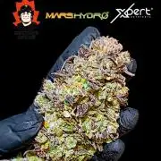 Sour Puffs Xpertnutrients