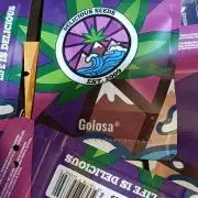 Golosa 2026 Proyect