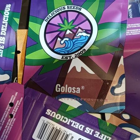 Golosa 2026 Proyect