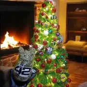 Papayton Xpertnutrients