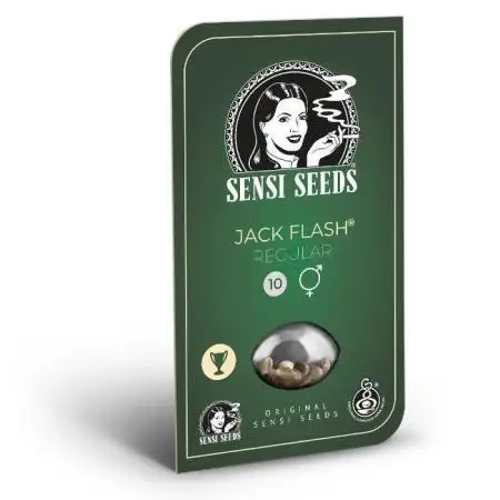 Jack Flash Reg