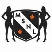 Permanent Marker MSNL