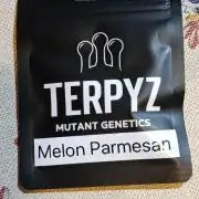 Melon Parmesan