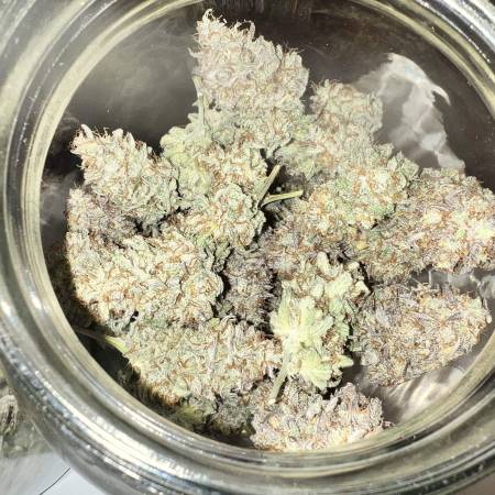 24k gold auto (round 2)