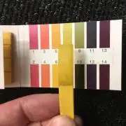 Strawberry Chemdawg OG