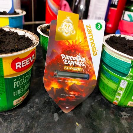 Good to be back
