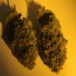 Wedding  Cake