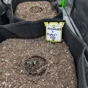 New tent setup 1st run