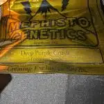 Deep purple crush
