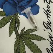 Spanish Moon by West Side Growth