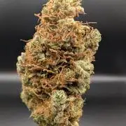 Caring for Angry Bears