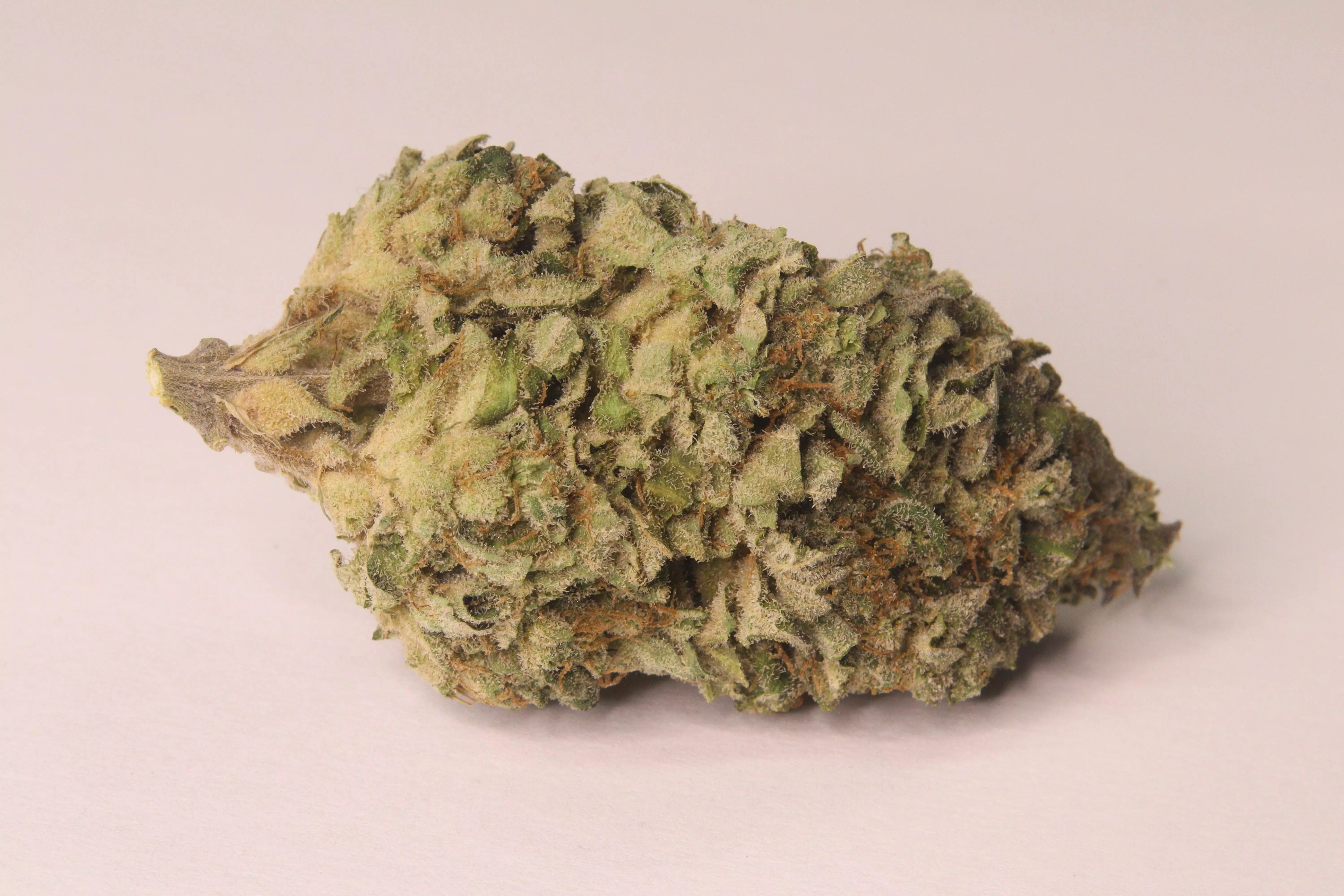 Sweet Zenzation / Sweet Seeds: grow diaries - GrowDiaries