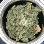 Indica Summers Season 2025