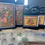 420FB White Widow - Back to business