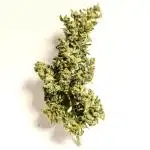German Garden Grow Green Gelato