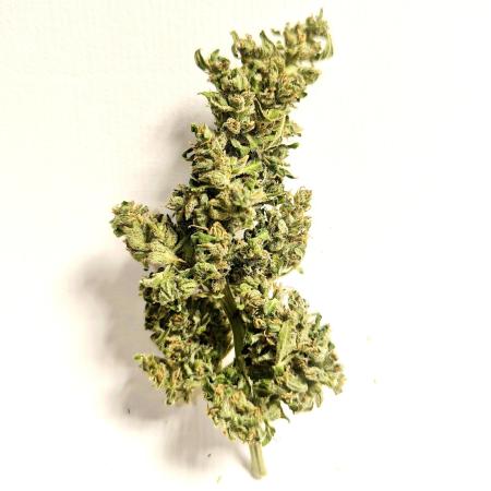 German Garden Grow Green Gelato