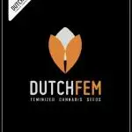 POLVORONES DE NARANJA