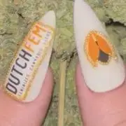 POLVORONES DE NARANJA