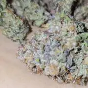 Bananas-FastBuds