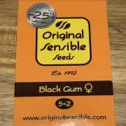 Black Gum 2026