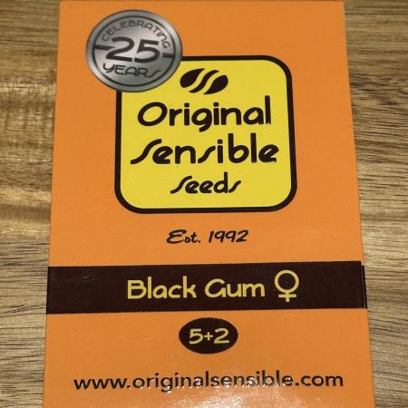 Black Gum 2026