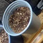 Mix pack autos vs rf3 mix pack  autos