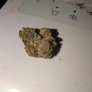 Floss Sugar & Luxar-Dos