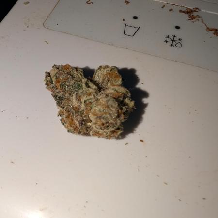 Floss Sugar & Luxar-Dos