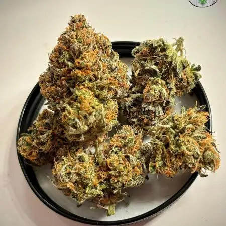 PassionFruitz Auto 💜🌱