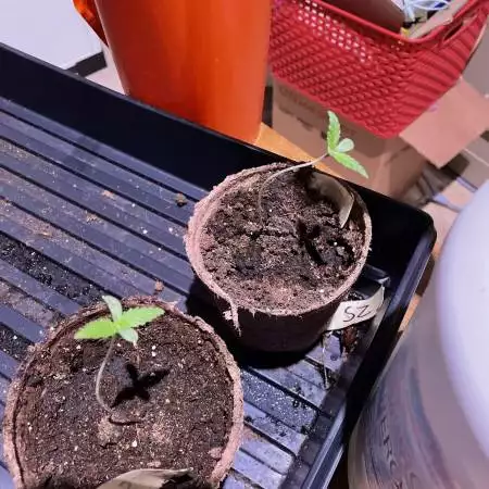 First time