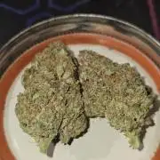 Popesicle 2